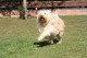 Thumbs/tn_Bild 045.jpg